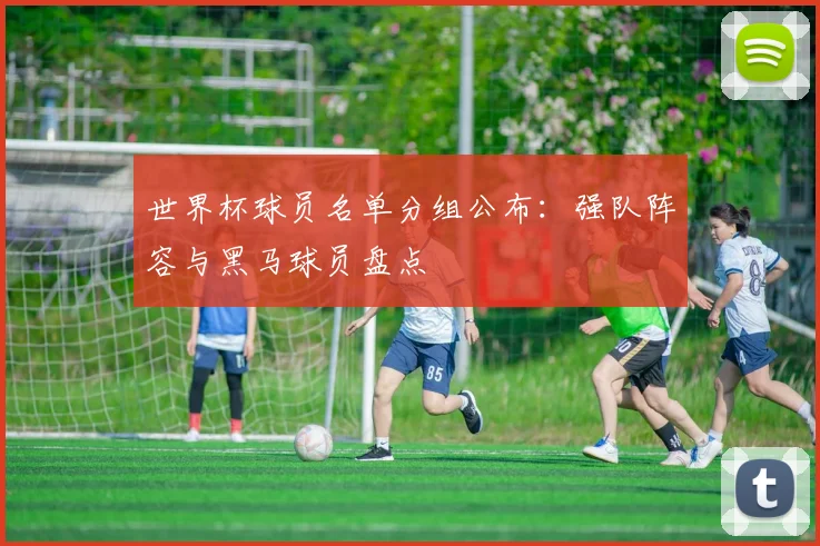 世界杯球员名单分组公布：强队阵容与黑马球员盘点