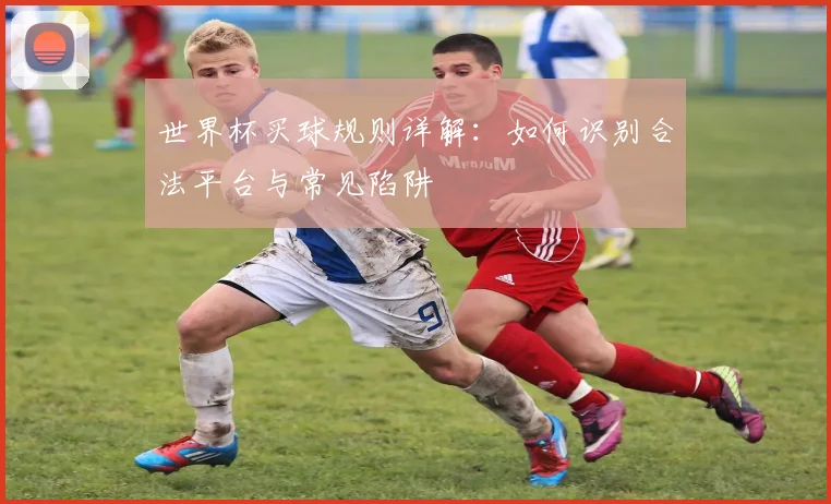 世界杯买球规则详解：如何识别合法平台与常见陷阱