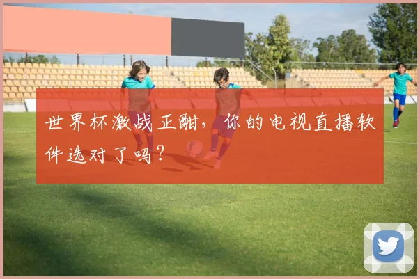 世界杯激战正酣，你的电视直播软件选对了吗？